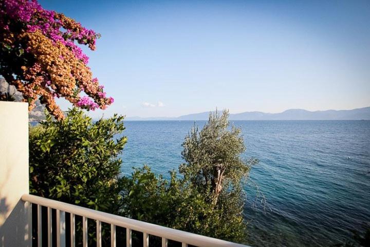 Apartments Kalaba - Dalma I Podaca Bagian luar foto